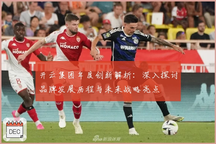 开云集团年度创新解析：深入探讨品牌发展历程与未来战略亮点
