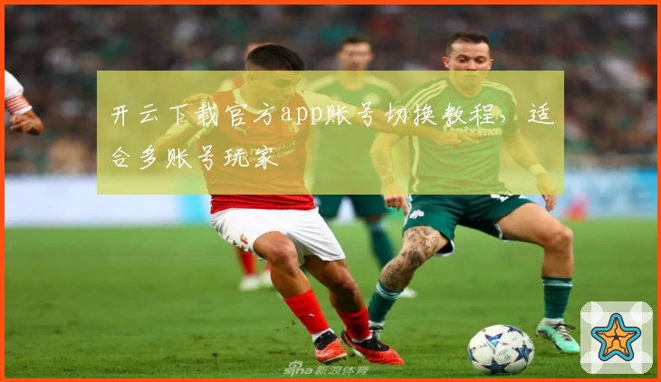 开云下载官方app账号切换教程，适合多账号玩家